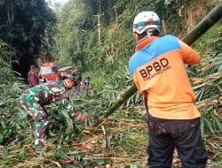 Giliran Jalan Cadas Pangeran Atas Tertutup Rumpun Bambu, BPBD Imbau Warga Waspada di Musim Hujan