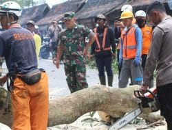 Lakukan Penertiban Pohon Di Jalur Cadas Pangeran Sumedang, Danramil Tanjungsari: Mohon Maaf Perjalanannya Terganggu Demi Kenyamanan Bersama