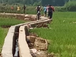 Akselerasi Swasembada Pangan 2025, Pj Bupati Sumedang: Segera Perbaikan Irigasi dan Penambahan Tenaga Penyuluh Pertanian Dilakukan