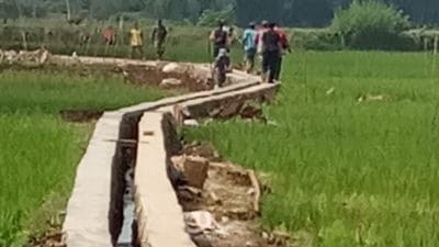 Akselerasi Swasembada Pangan 2025, Pj Bupati Sumedang: Segera Perbaikan Irigasi dan Penambahan Tenaga Penyuluh Pertanian Dilakukan