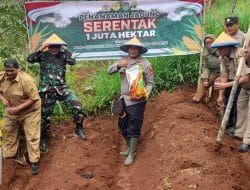 Sukseskan Ketahanan Pangan, Polisi Tanam Jagung 1 Juta Hektare