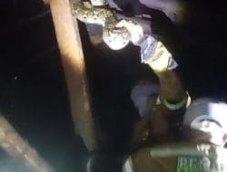 Ular Sanca di Atap Rumah Warga Cimanggung Dievakuasi Petugas Damkar Tanjungsari