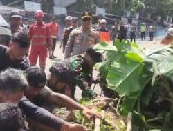 Pohon Tumbang di Cadas Pangeran Sumedang, Kesigapan Polisi dan Tim Gabungan Diapresiasi Warga