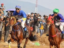 Tiket Masuk Duapuluh Ribu Rupiah, Begini Penjelasan Penyelenggara Cibogo Horse Festival 2025
