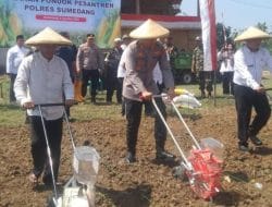 Tanam Jagung di Ponpes Darut Taubah Ujungjaya, Kapolres Sumedang: Wujud Nyata Kolaborasi Mencapai Swasembada Pangan Nasional