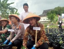 Tanam 15.000 Ubi Cilembu Dalam Polibag, Kapolres Sumedang: Ini Bukan Sekadar Pamer atau Flexing