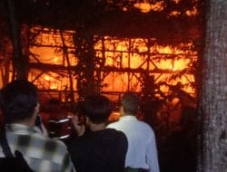 Dua Kandang Ayam Ludes Terbakar Api di Margajaya Tanjungsari, 10 Ribu Ekor Ayam Mati Terpanggang