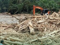 Menhut Tersudut Disemprot Ketua Komisi IV DPR RI Gegara Banjir Aceh dan Sumatera