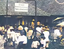Riuh Rendah di Bawah Papan Putih: Menghirup Wangi Kejayaan Ekonomi Tanjungsari Sumedang