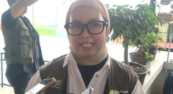 Kepala Desa Pasirnanjung, Susi Herawati