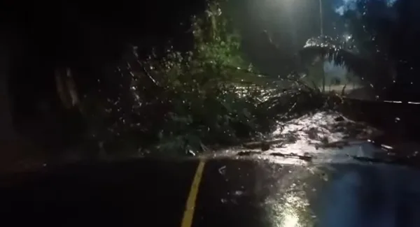 Longsor besar yang menyeret rumpun bambu dan pohon aren di jalan Nasional Bandung-Cirebon tepatnya Cadas Pangeran pada Rabu petang (8/4/2026)