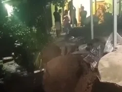 Longsor Terjang Perbatasan Haurngombong-Ciptasari, Dua Keluarga Dievakuasi Saat Hujan Deras
