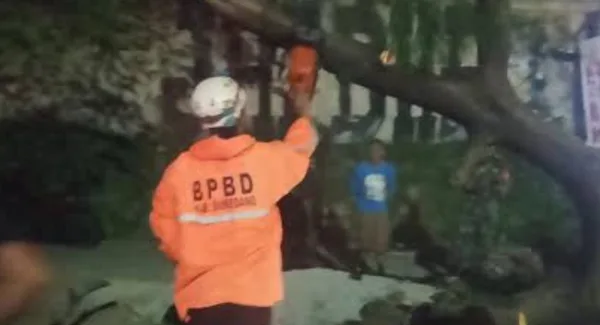 Penanganan pohon tumbang di Jatinangor Sumedang oleh BPBD pada Senin malam (1/6/2026)