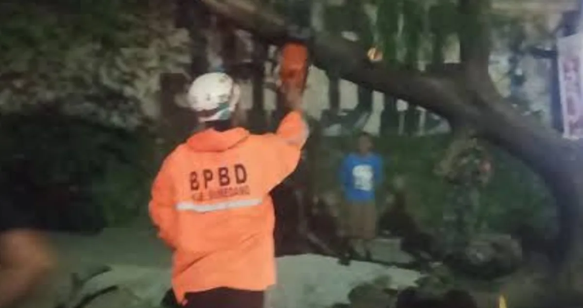 Penanganan pohon tumbang di Jatinangor Sumedang oleh BPBD pada Senin malam (1/6/2026)