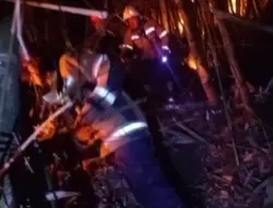 Satu Hektare Kebun Bambu di Pamulihan Terbakar, Damkarmat Tanjungsari Sukses Lokalisir Api Secara Manual